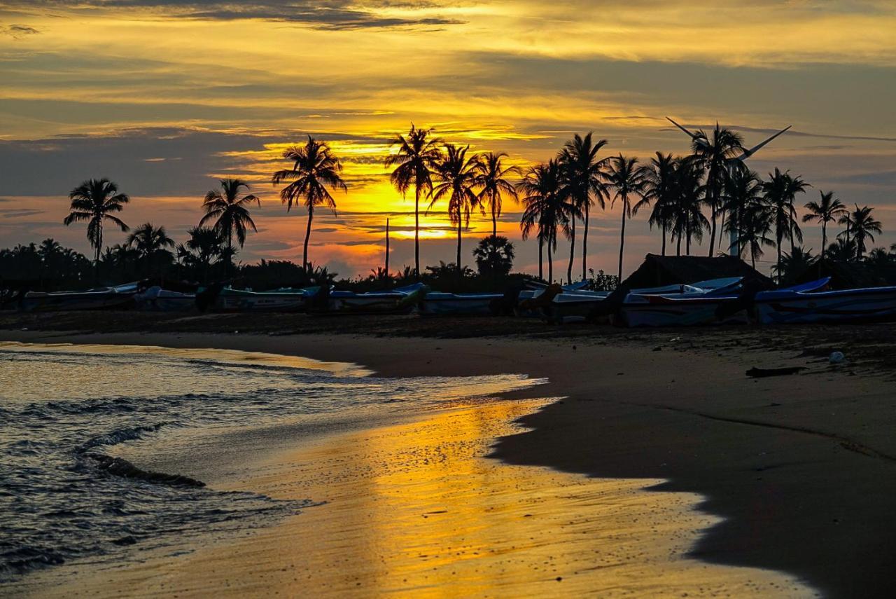 Red Coral Kitesurfing Resort Kalpitiya Bagian luar foto